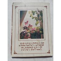 Набор открыток. Комнатные растения. 15 штук