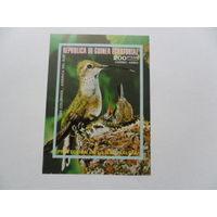 Экваториальная Гвинея, фауна