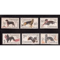 Чехословакия-1965,(Мих.1542-1547) , ** , Фауна, Собаки