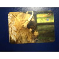 Календарик 2009 г.  Зубр.