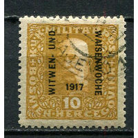 Босния и Герцеговина (Австро-венгерская администрация) - 1917 - Надпечатка WITWEN- UND WAISENWOCHE 1917 - [Mi.119b] - 1 марка. Гашеная.  (Лот 11JC)-TG3P59