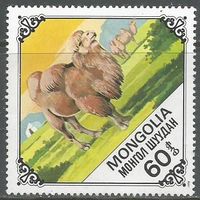 Монголия. Верблюды. 1978г. Mi#1189.
