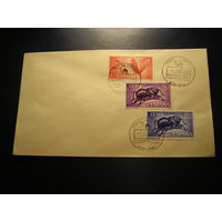 Испанская Ифни 1965 КПД, Насекомые