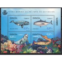 Испания 2013. Фауна.Рыбы Блок (4789)