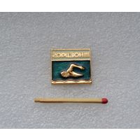 Спортивный клуб Горизонт. Плавание.