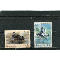 Австралия. Фауна