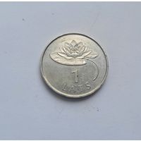 1 лат 2008 кувшинка