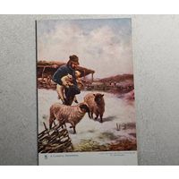 Англия  Открытка