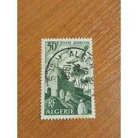 Французская колония Алжир архитектура фауна птицы (4-14)