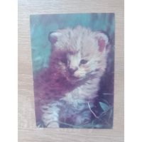 Календарик 1992