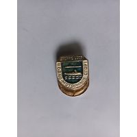 ДОСААФ СССР. Водно-моторный спорт. Редкий знак.