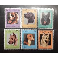 Лаос. 1987 год. Фауна. Собаки (574)