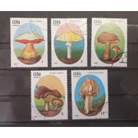 Куба. 1988 год. Флора. Грибы (5 марок)