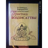 Кармапа XVII. Практика Бодхисаттвы. /Серия: Жемчужины мудрости/ 2013г.