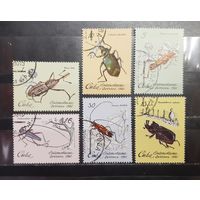 Куба. 1980 год. Фауна. Насекомые-вредители (1281)