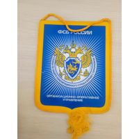 Вымпел МВД 5