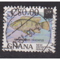 Фауна Рыбы Гана 1988 год Лот 1 С НАДПЕЧАТКОЙ