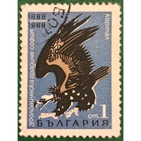 Болгария 1968. Фауна. Хищные птицы. Марка из серии