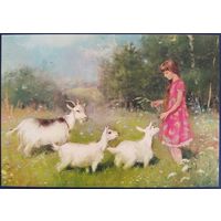 На лугу пасутся ко....Е.Бабок. Россия. 2020 г.