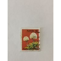 Марка из серии "Растения" - Цмин (Helichrysum thomsonii)