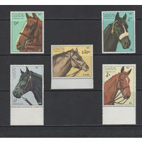Лаос 1987 Фауна Лошади