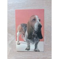 Календарик 1993