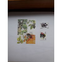 Марки Беларусь 2004 Пчелы