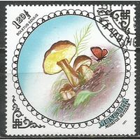 Монголия. Белый гриб. 1985г. Mi#1748.