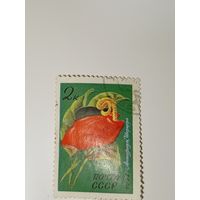 Марка СССР 1971 год Цветы