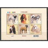 Украина. Собаки. 2007г. Mi#Бл60.