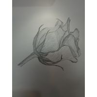 Интерьерная графика Бутон розы, ручная работа