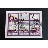 ЛИСТ ФАУНА ПТИЦЫ  СТО