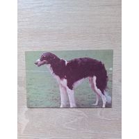 Календарик 1993