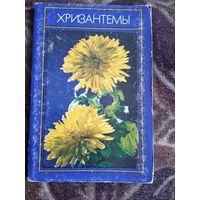 ХРИЗАНТЕМЫ