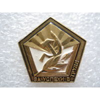 За успехи в труде.