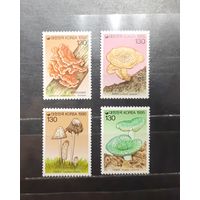 Корея. 1995 год. Флора. Грибы (992)
