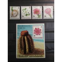 Теркс и Кайкос 1981 г. Кактусы.