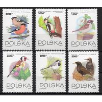Польша 1993. Птицы 6 марок (3458-63)