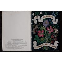 Комплект из 15 открыток (не хватает 1) Из истории пряных растений 1983