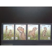 2015 Суслики** WWF. Полная серия