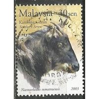Малайзия. Серна. 2003г. Mi#1162.