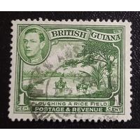 Лот 284 Британская Гвиана. Король Георг VI и локальные сцены. Вспашка рисового поля GB-GY230