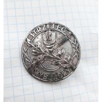 Знак польский