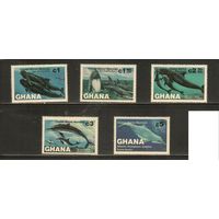 Гана-1983(Мих.977-981),  ** ,  Морская  Фауна ,Дельфины, Киты(полная серия)