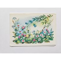 Жебелева 1987 Поздравляю