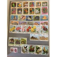 Марки тематики флора и фауна