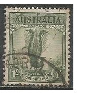 Австралия. Павлин. 1937г. Mi#148.