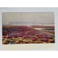 1956. Рыбачук. Весна в тундре