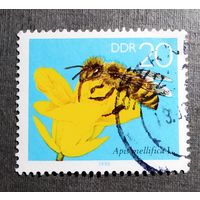 Марка ГДР 1990 год Пчела