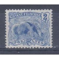 [1655] Французские колонии. Французская Гвиана 1904. Фауна.Муравьед. МН